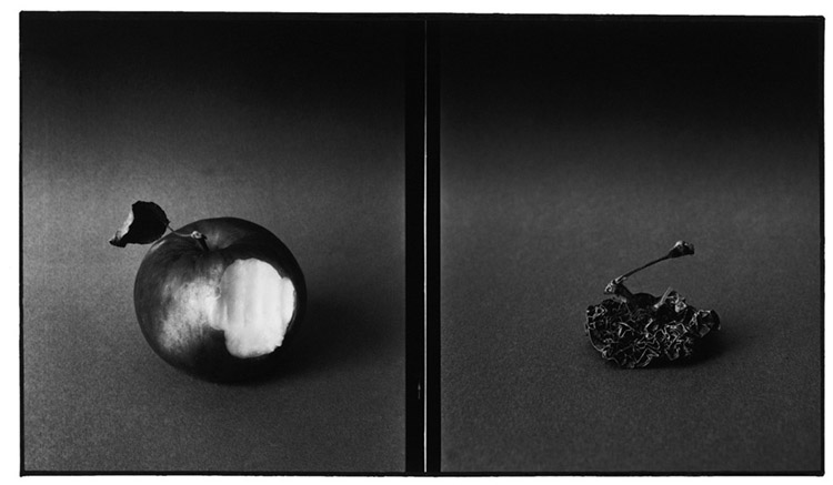 Manifest času 1976-84